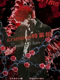 TF三代：Criminal特案组