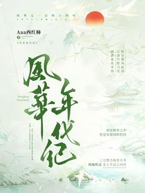 风华年代记