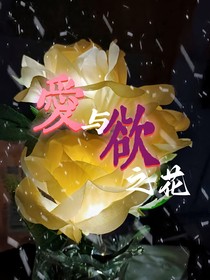 爱与欲之花