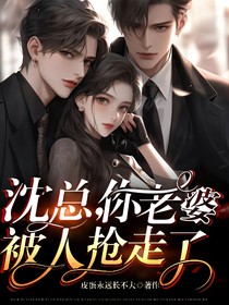 沈总你老婆跑了