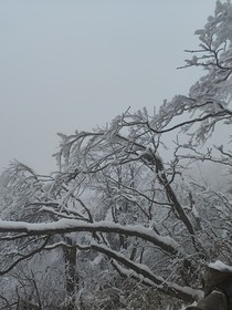 棠溪岁时记