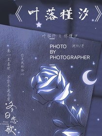 叶落槿汐