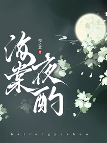 海棠夜酌