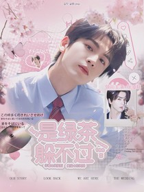 开始推理吧2：是绿茶躲不过