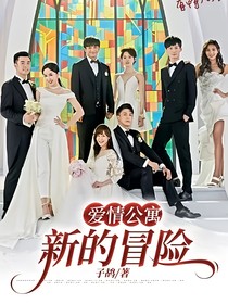 爱情公寓：新的冒险