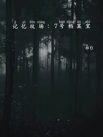 记忆坟场：第七号档案室