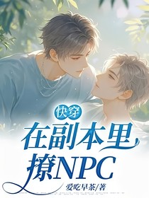 快穿：在副本里撩NPC