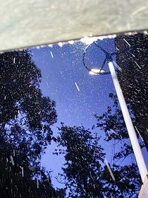 在遗忘的河岸上