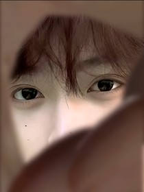 随笔（作者写啥你就看啥）