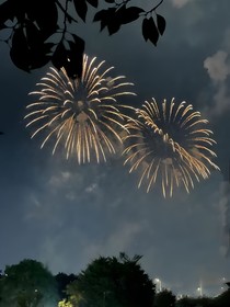 梦（重返狼群）