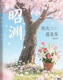 昭岚：再次遇见你