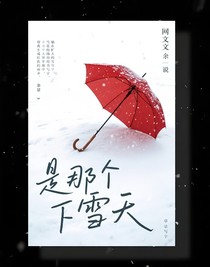 是那个下雪天