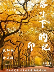 落叶下的印记