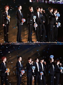 TNT：你们看芍药花开了