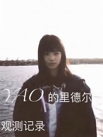 YAO的里德尔观测记录