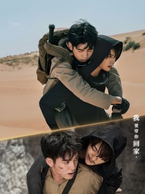 终极笔记：藏海花下的誓言