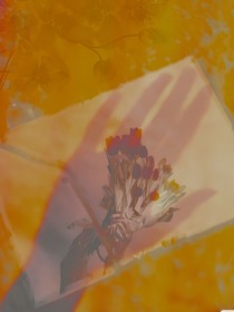 死亡倒计时失效中