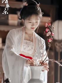 知否知否之嫡女风云