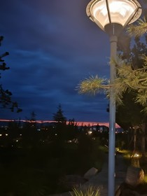 仿生之恋（已完结）