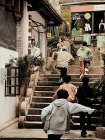 TF四代：阳光快乐小狗