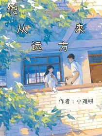 他从远方来