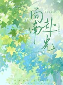 向南赴光