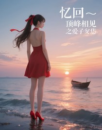 忆回——顶峰相见，至爱不渝