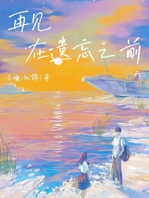 再见，在遗忘之前