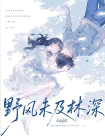 野风未及林深