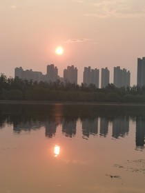 生活的脚步