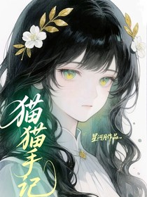 猫猫手记