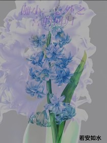 伽小：意外之喜的回归