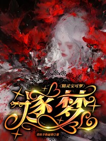 精灵宝可梦：逐梦