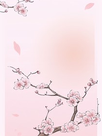 综影视：我们的故事只能是he