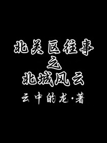 北关区往事之北城风云