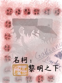 名柯：黎明之下