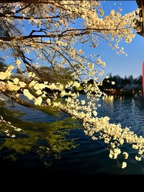 快穿之影视轮回事务所