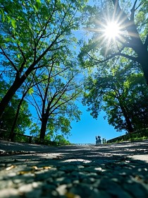 我透过影子追逐你