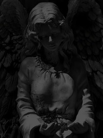 我在不死军团当老二