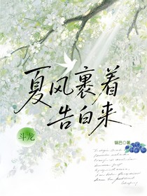 斗龙：夏风裹着告白来