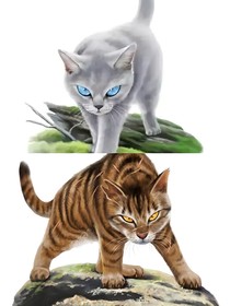 猫武士：虎跃鸽飞