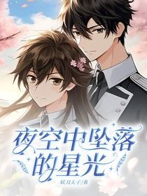 夜空坠落的星光