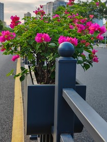 像歌一样的生活