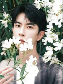 于朦胧：许你安宁