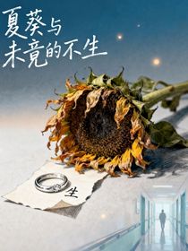 夏葵与未竟的余生