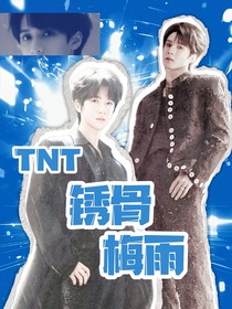 TNT：锈骨梅雨