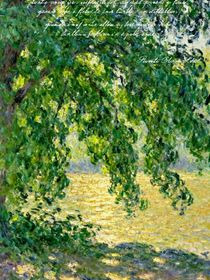 树叶的一生（不止一片树叶哈）