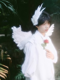 TF四代：微风轻拂