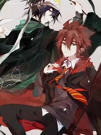 凹凸世界：在霍格沃茨的六年