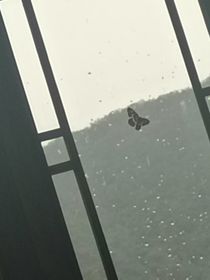 婉儿不可再胡闹